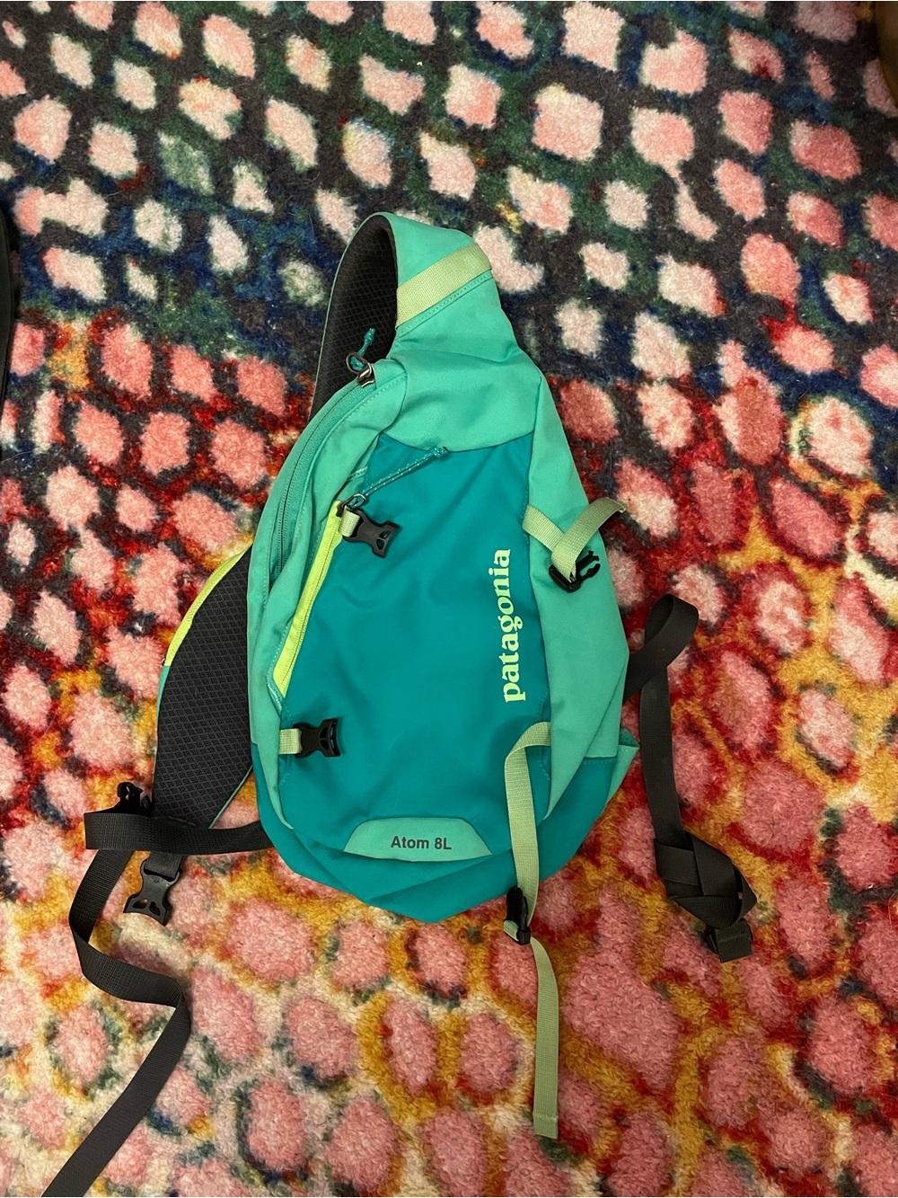 Patagonia teal and mint green sling pack